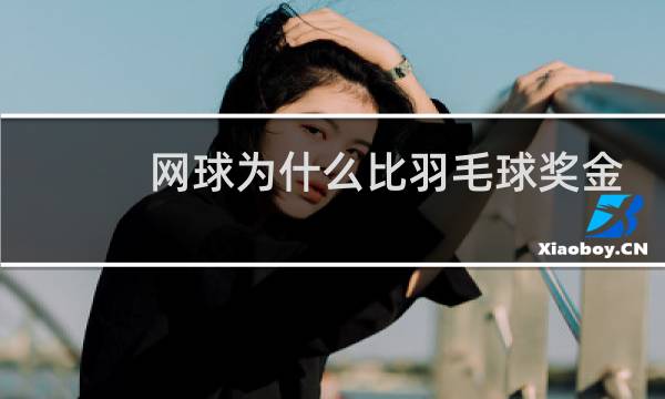 网球为什么比羽毛球奖金高图片