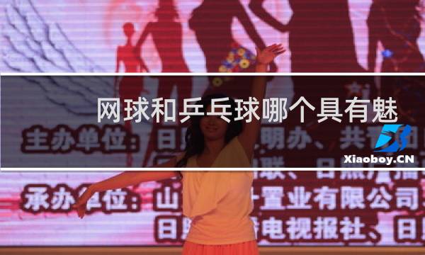 网球和乒乓球哪个具有魅力图片