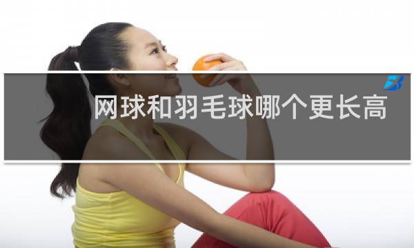 网球和羽毛球哪个更长高图片