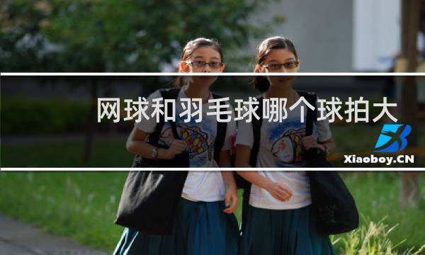 网球和羽毛球哪个球拍大图片