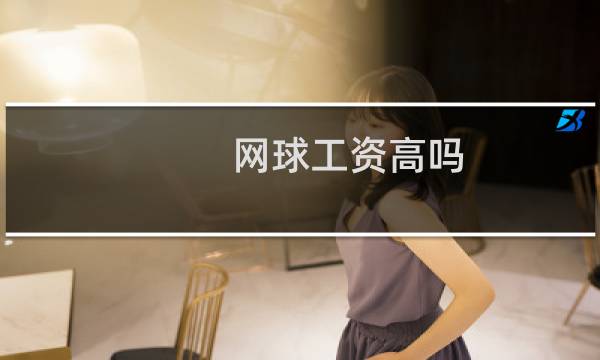 网球工资高吗图片
