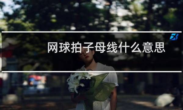 网球拍子母线什么意思图片