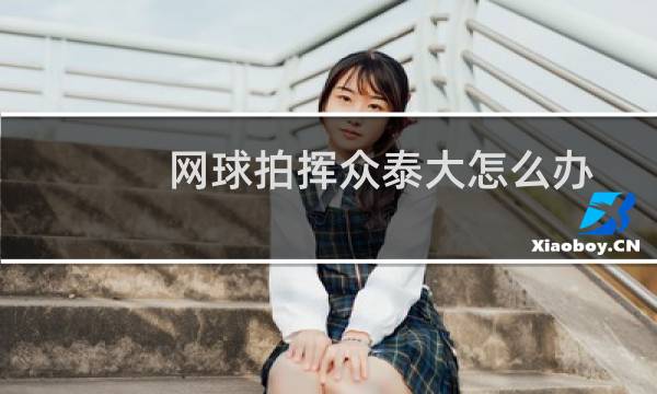 网球拍挥众泰大怎么办图片