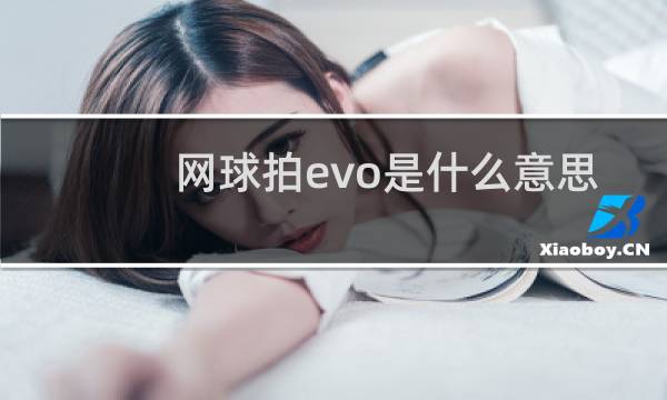 网球拍evo是什么意思图片
