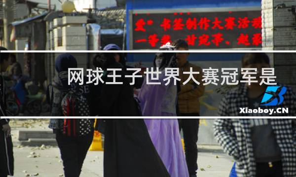 网球王子世界大赛冠军是谁图片