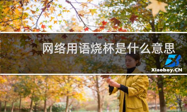网络用语烧杯是什么意思图片