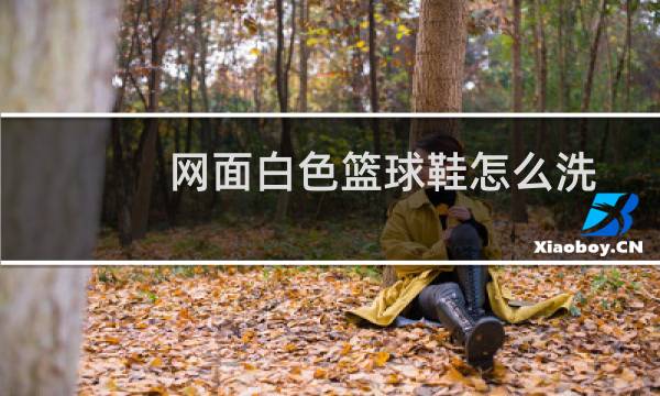 网面白色篮球鞋怎么洗图片