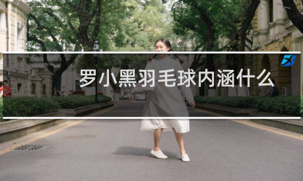 罗小黑羽毛球内涵什么图片