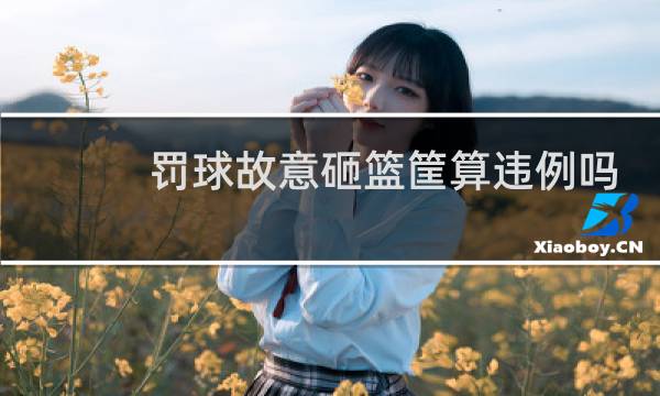 罚球故意砸篮筐算违例吗图片