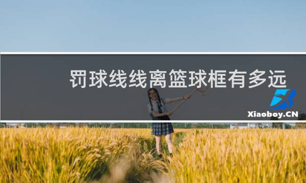 罚球线线离篮球框有多远图片