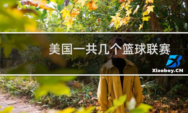 美国一共几个篮球联赛图片