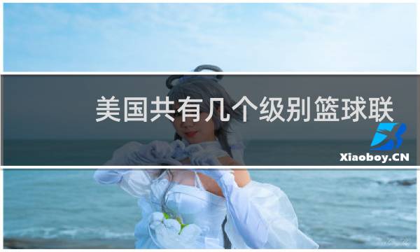 美国共有几个级别篮球联赛图片