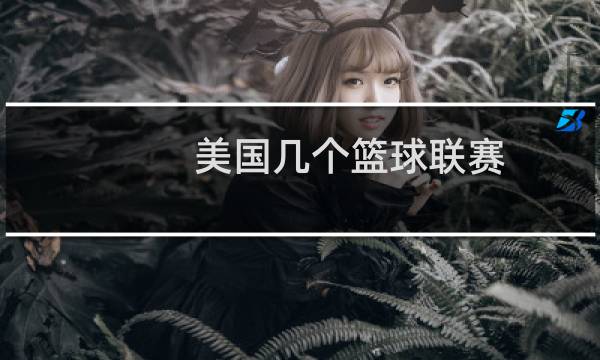 美国几个篮球联赛图片