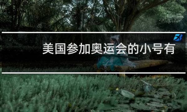 美国参加奥运会的小号有几个图片