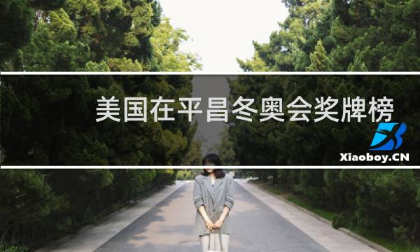 美国在平昌冬奥会奖牌榜排名第几图片