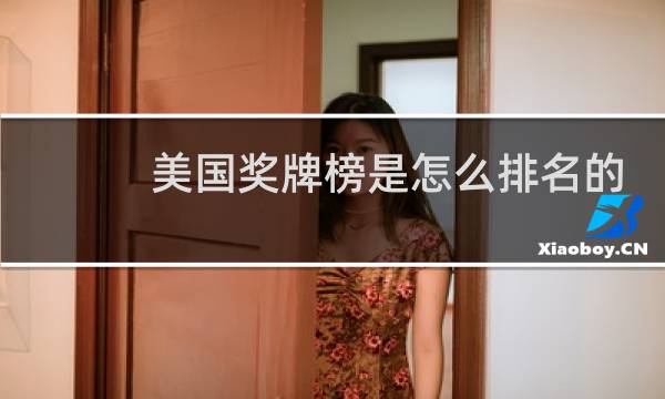 美国奖牌榜是怎么排名的图片
