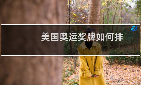 美国奥运奖牌如何排图片