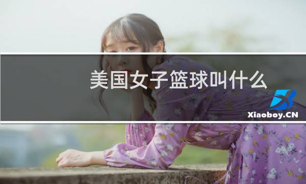 美国女子篮球叫什么图片