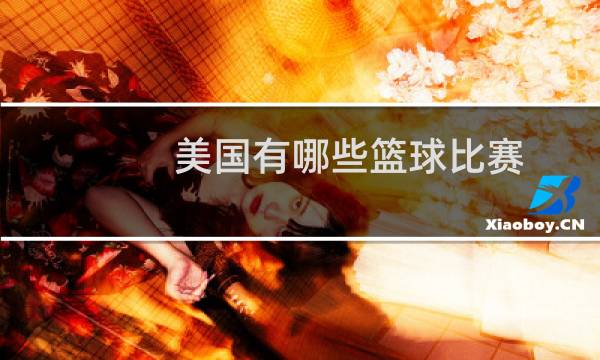 美国有哪些篮球比赛图片