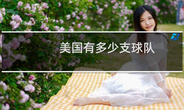 美国有多少支球队图片