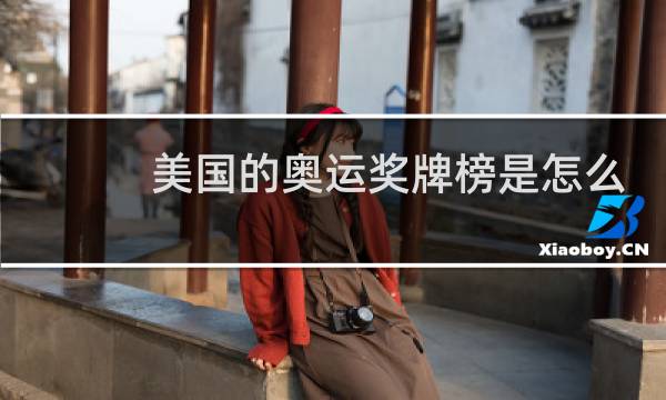 美国的奥运奖牌榜是怎么排的图片