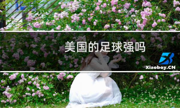美国的足球强吗图片