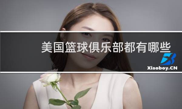 美国篮球俱乐部都有哪些图片