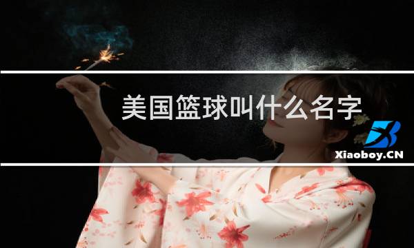 美国篮球叫什么名字图片