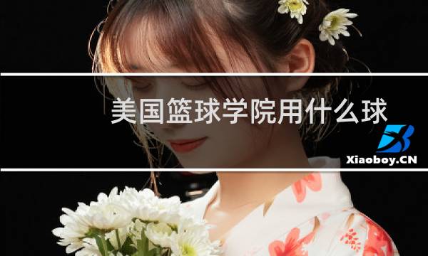 美国篮球学院用什么球图片