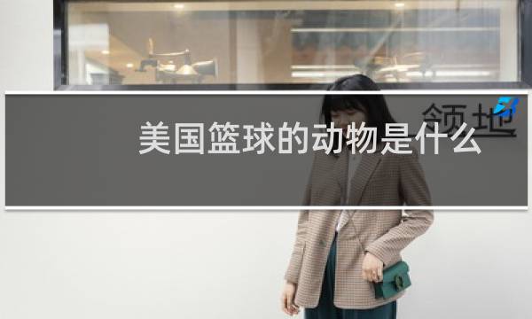 美国篮球的动物是什么图片