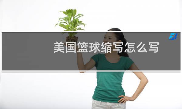 美国篮球缩写怎么写图片
