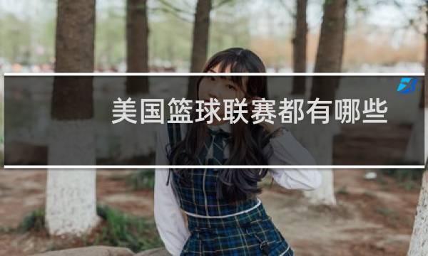 美国篮球联赛都有哪些图片