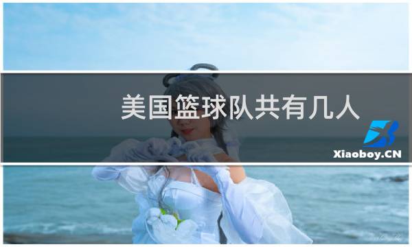 美国篮球队共有几人图片