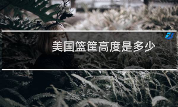 美国篮筐高度是多少图片