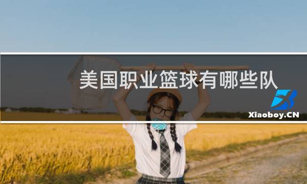 美国职业篮球有哪些队图片
