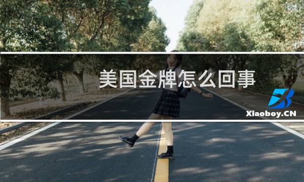 美国金牌怎么回事图片