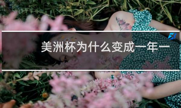 美洲杯为什么变成一年一届图片