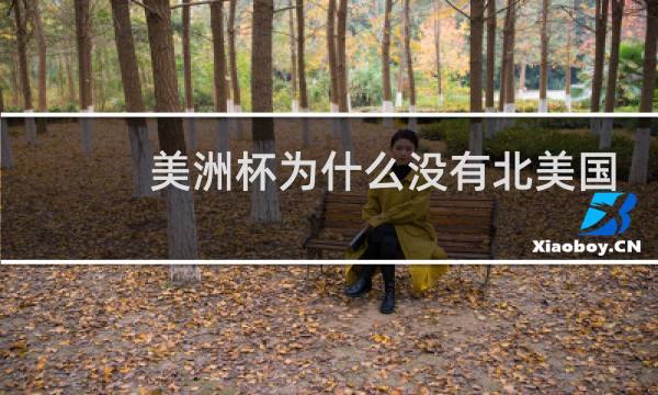 美洲杯为什么没有北美国家图片