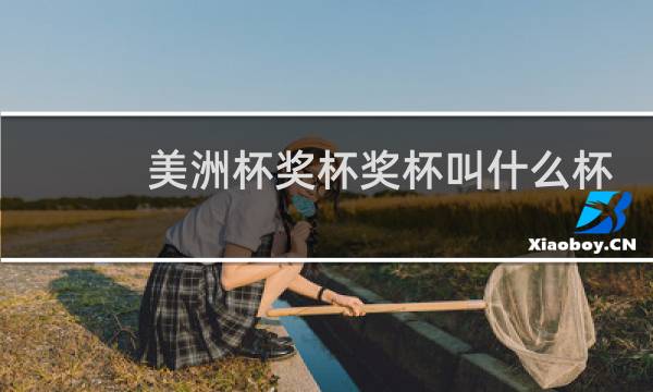 美洲杯奖杯奖杯叫什么杯图片