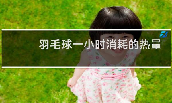 羽毛球一小时消耗的热量是多少图片