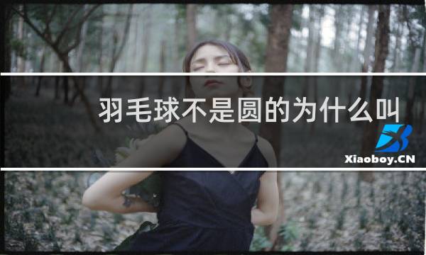 羽毛球不是圆的为什么叫球图片