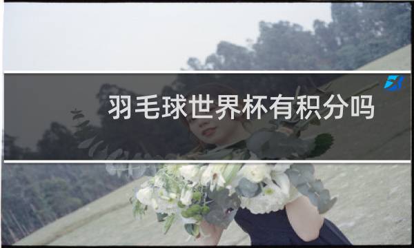 羽毛球世界杯有积分吗图片