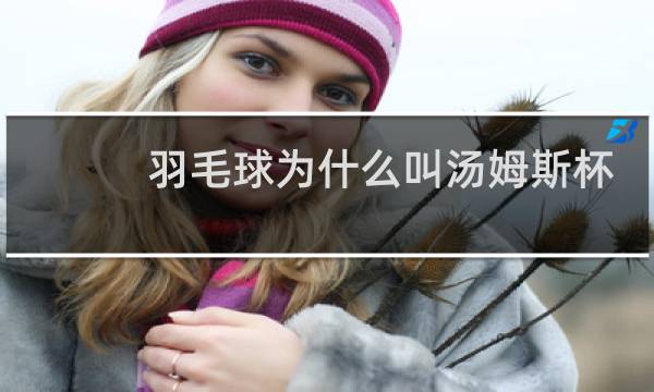 羽毛球为什么叫汤姆斯杯图片