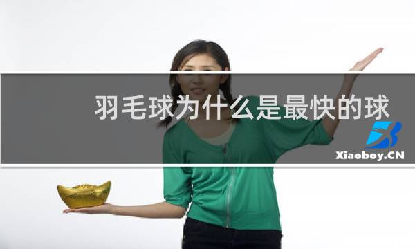 羽毛球为什么是最快的球图片