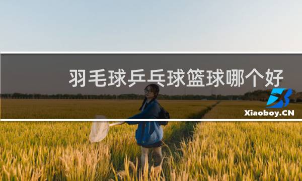 羽毛球乒乓球篮球哪个好图片