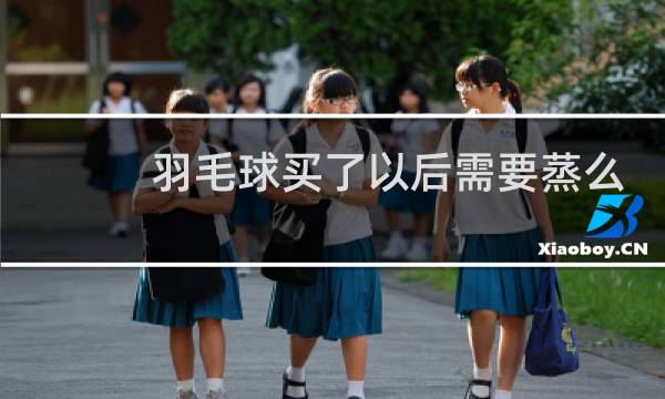 羽毛球买了以后需要蒸么图片
