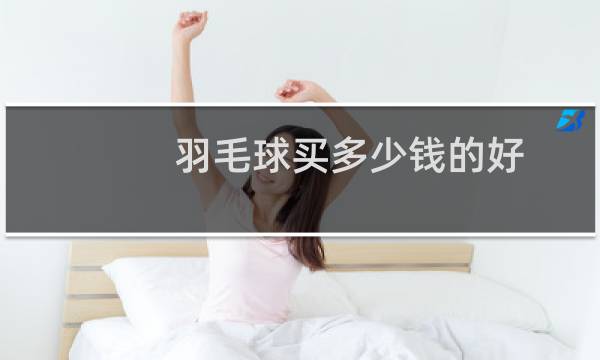 羽毛球买多少钱的好图片