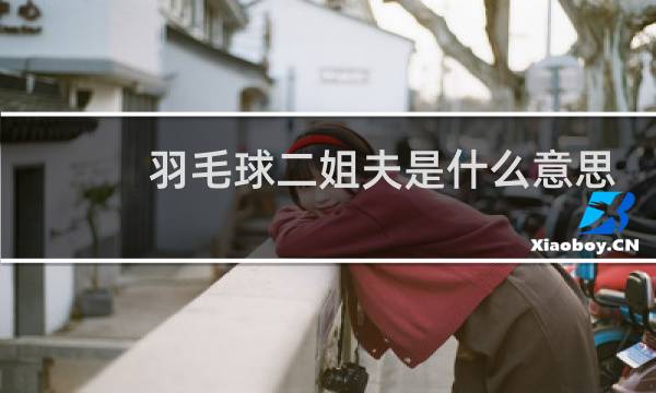 羽毛球二姐夫是什么意思图片