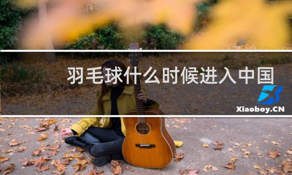羽毛球什么时候进入中国图片