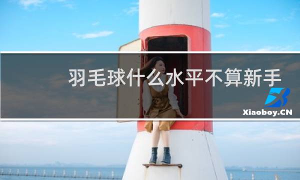 羽毛球什么水平不算新手图片